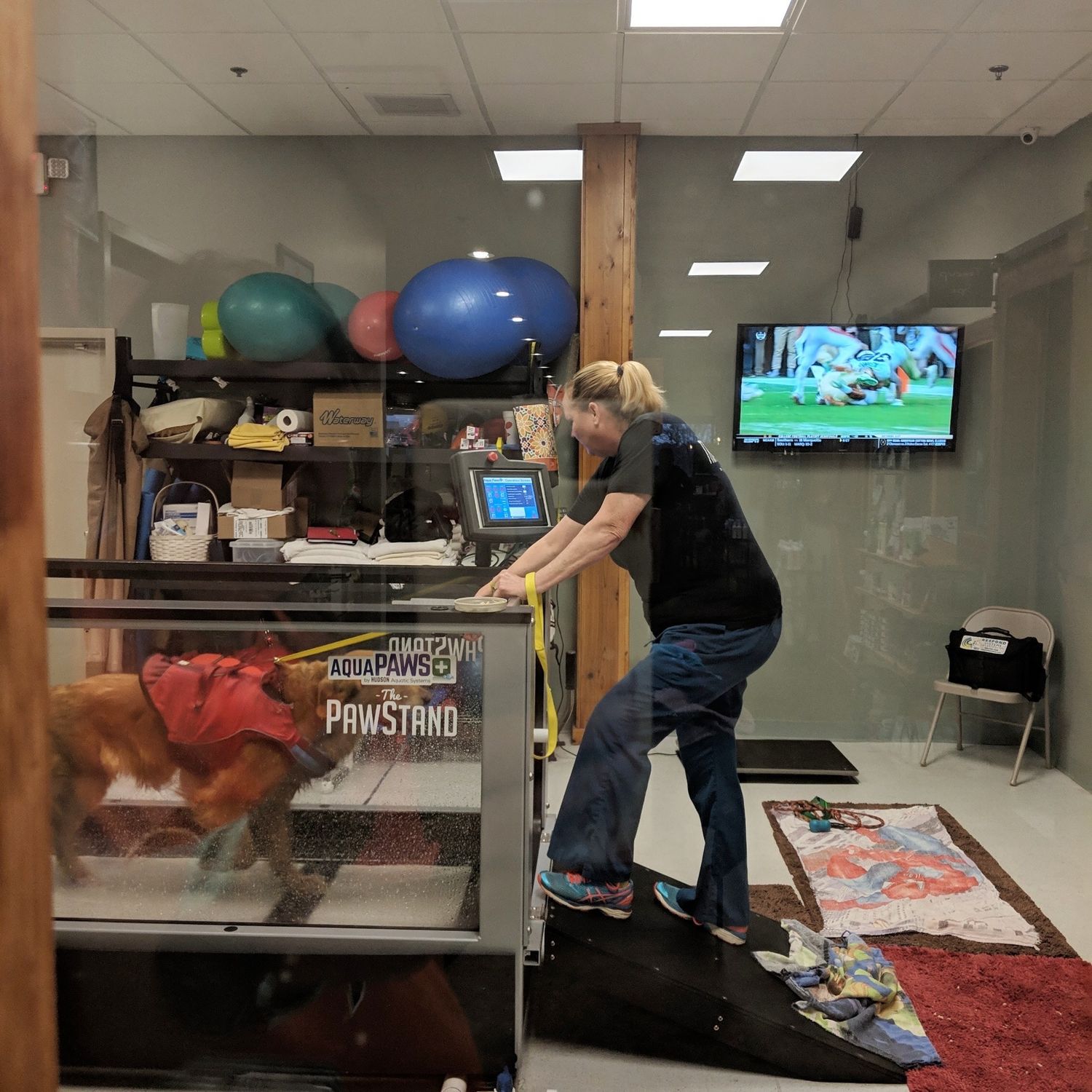 Fitness/Hydrotherapy Including Initial Consultation