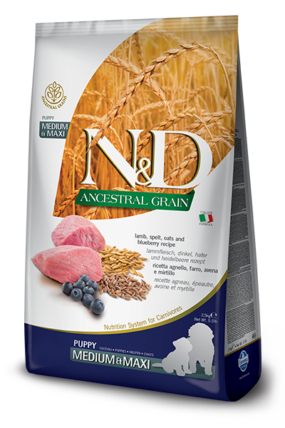Farmina ANCESTRAL GRAIN Lamb &amp; Blueberry Puppy Med-Maxi 5.5 LB