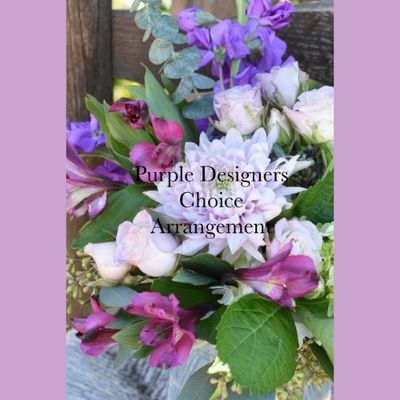 Purple Designers Choice