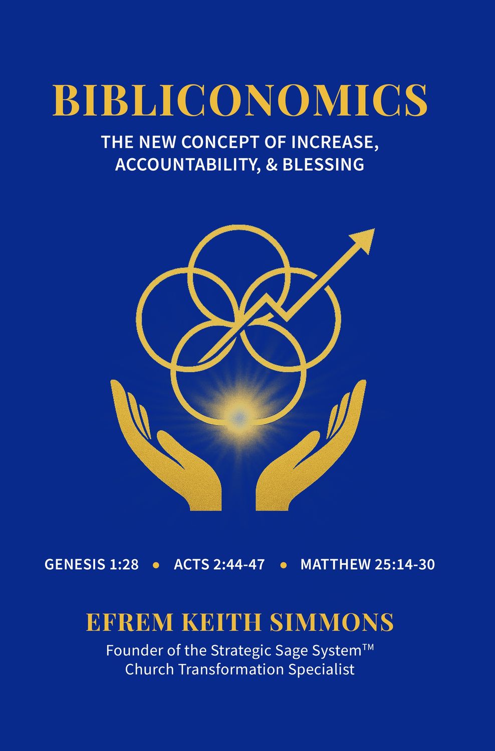 Bibliconomics tm: The New Concept of Increase, Accountability, and Blessing
