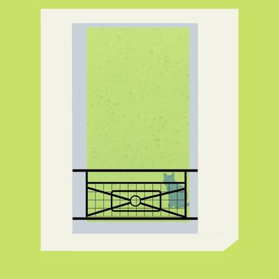 garde corps fenetre sur mesure