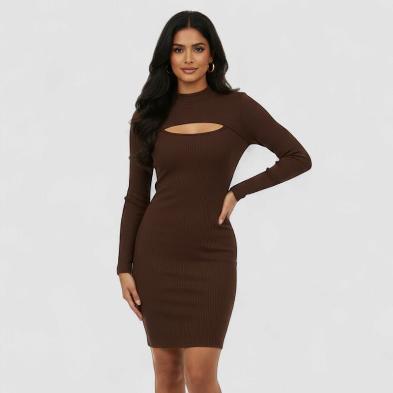 Brown Round Neck Bodycon Dress
