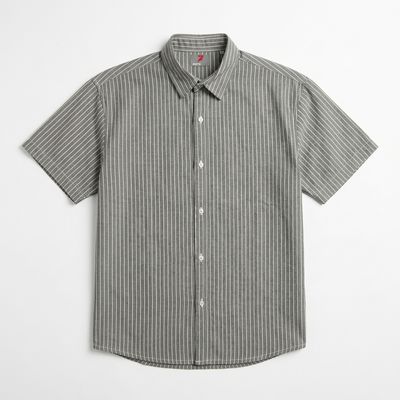 Grey Half Sleeve Printed Striped Shirt