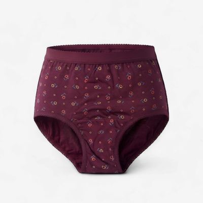 Zero Sleek Hipster Maroon Panty