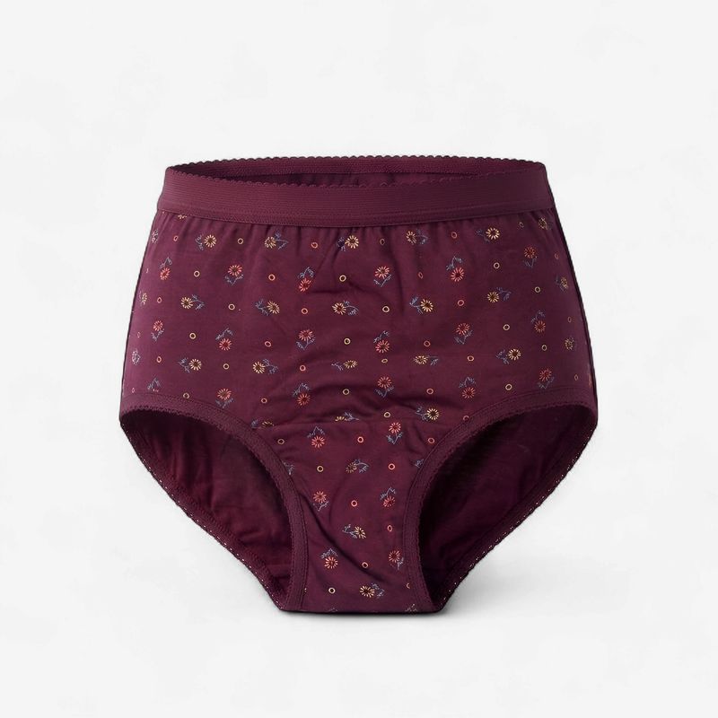 Zero Sleek Hipster Maroon Panty