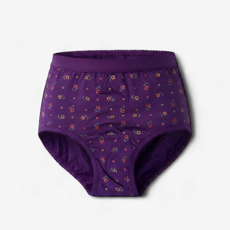 Zero Sleek Hipster Purple Panty
