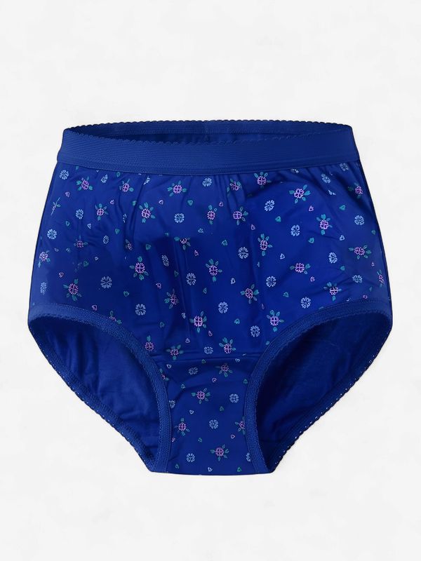 Zero Sleek Hipster Royal Blue  Panty