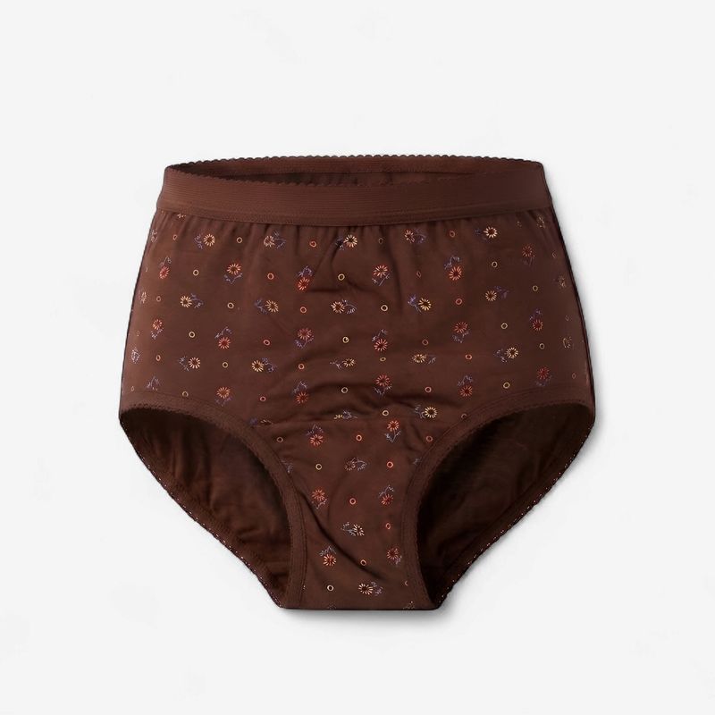 Zero Sleek Hipster Brown Panty