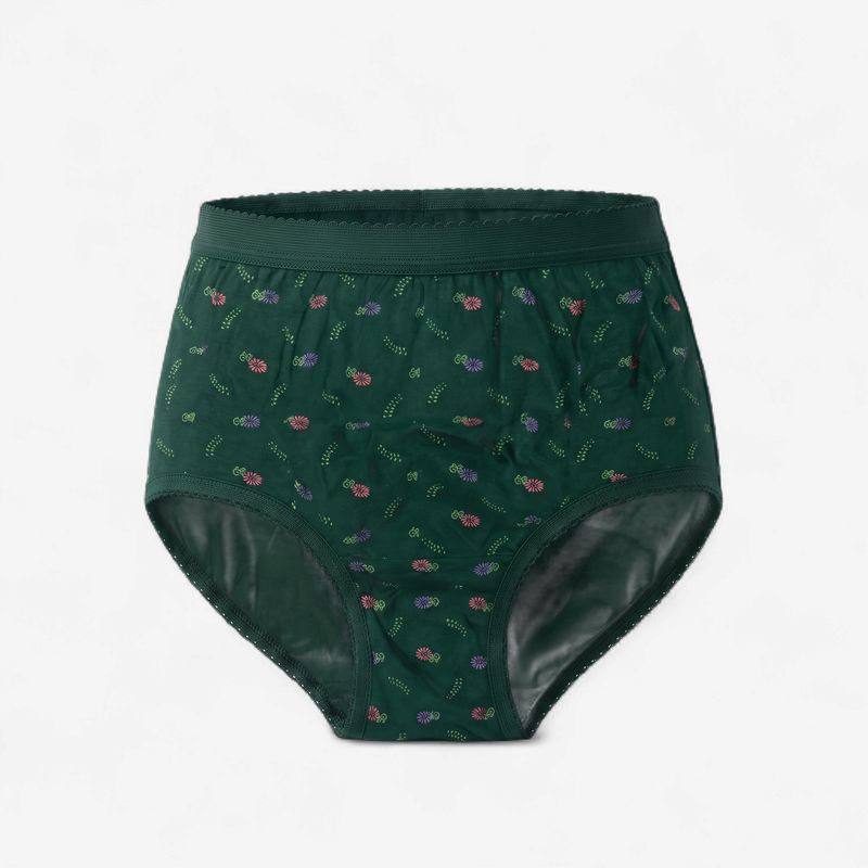 Zero Sleek Hipster Green Panty
