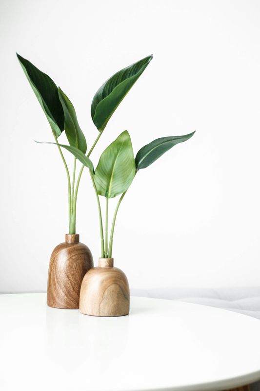 Decor Accessories