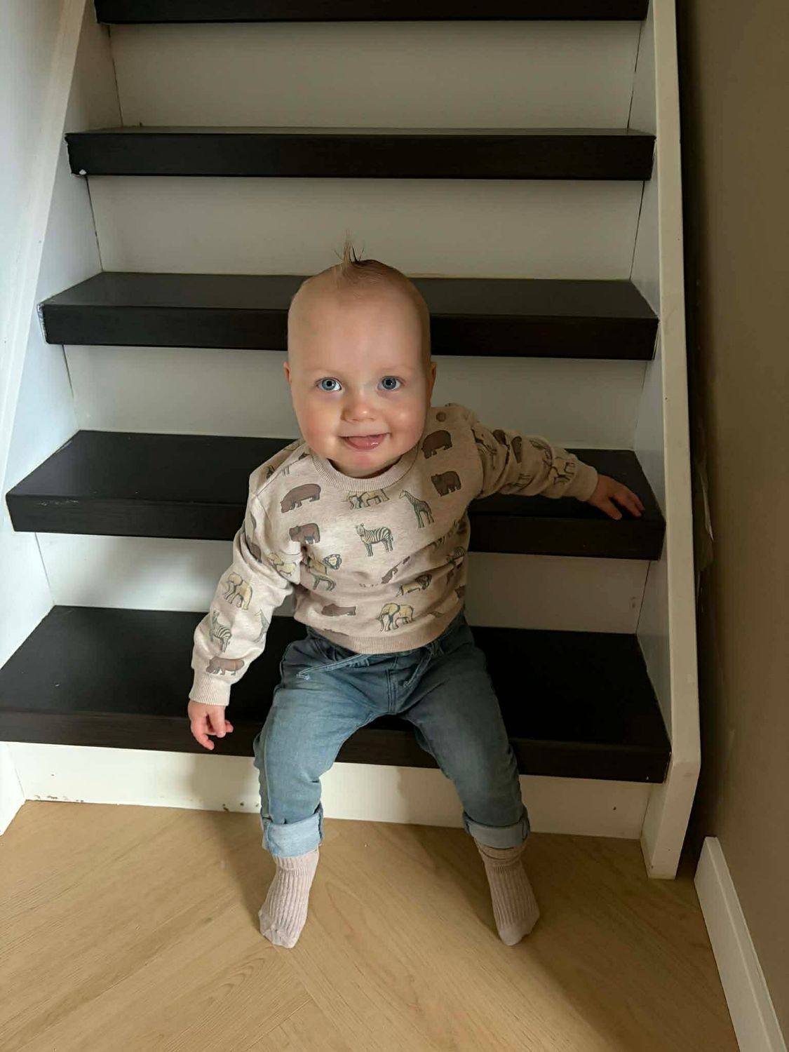 Dirkje jongens sweater loose fit pebble wilde dieren