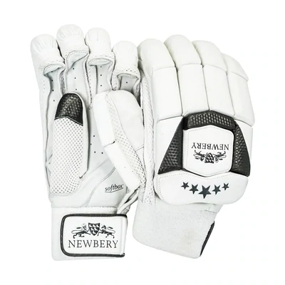 2024 Newbery Cricket 5 Star Split Finger Batting Gloves