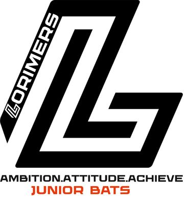 JUNIOR BATS