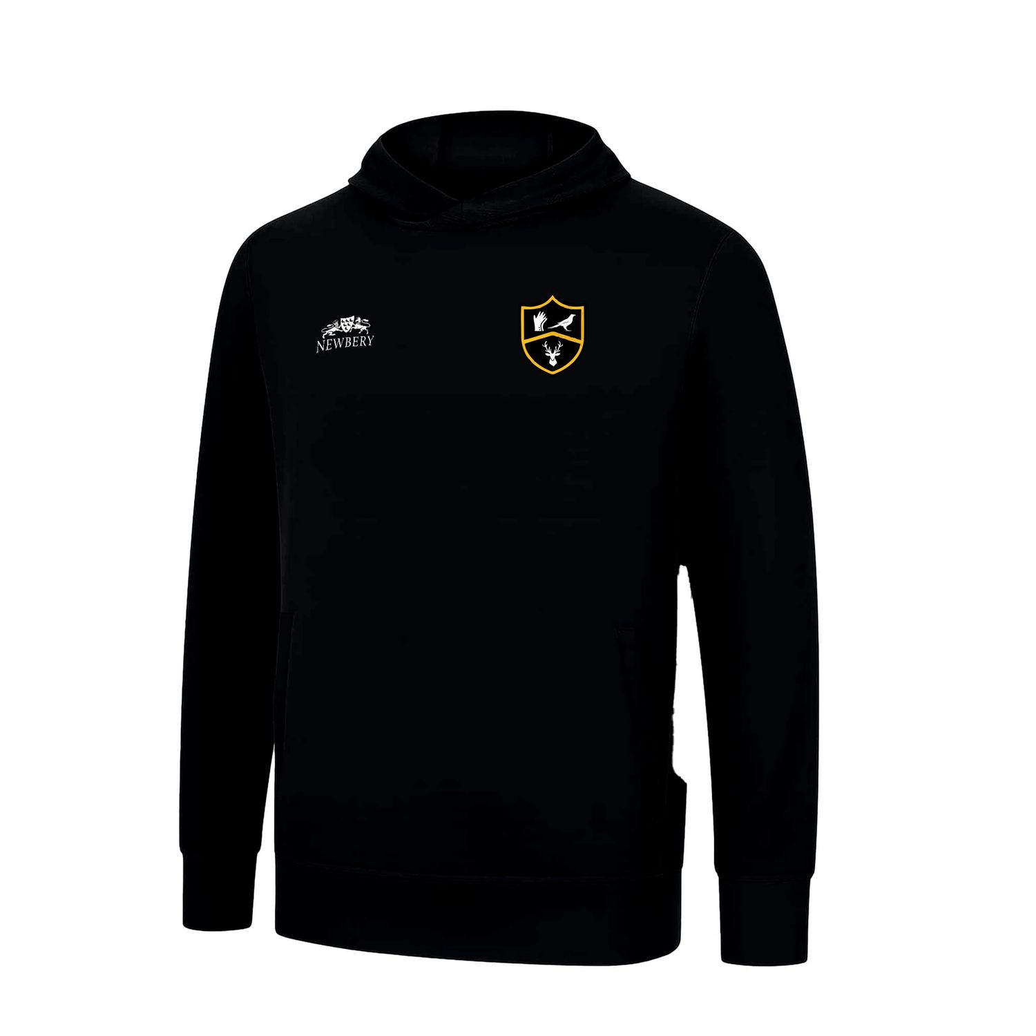 Park View Academy Performance Hoodie Park View Academy Performance Hoodie