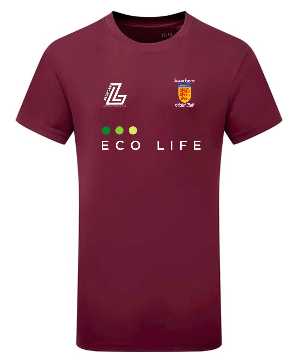 Seaton Carew Juniors Playing T Shirt Seaton Carew Juniors Playing T Shirt