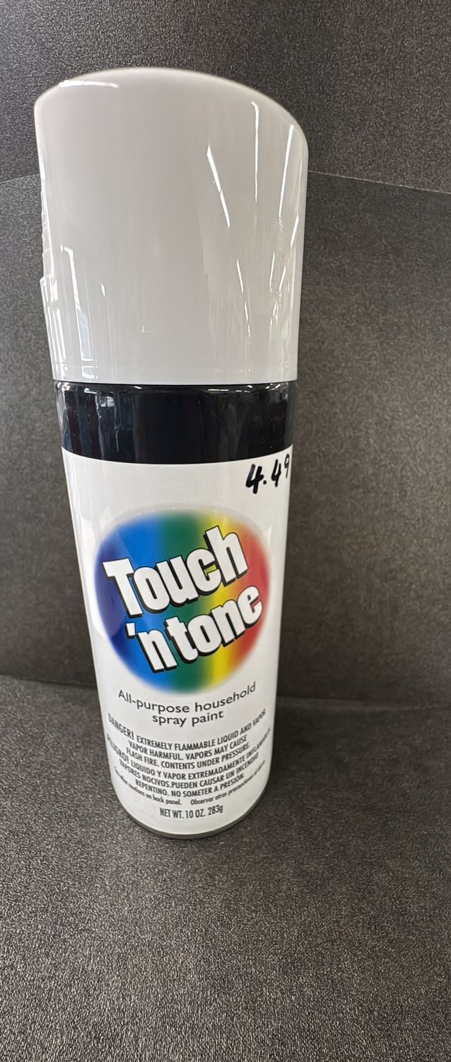 ALL PURPOSE SPRAY PAINT WHITE