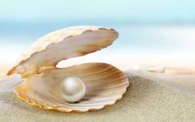 The Precious World of Pearls