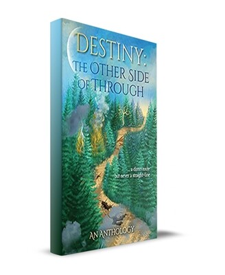 Destiny: The Other Side of Through