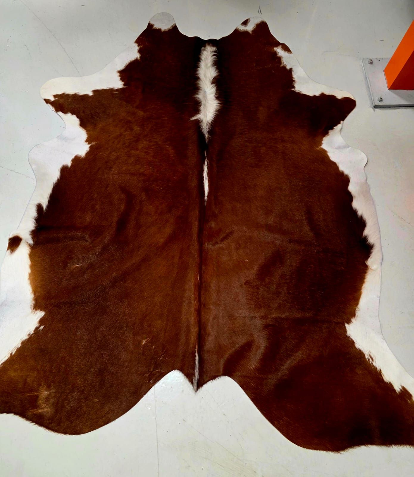 Buckle and Hide - Cow Hide (small)