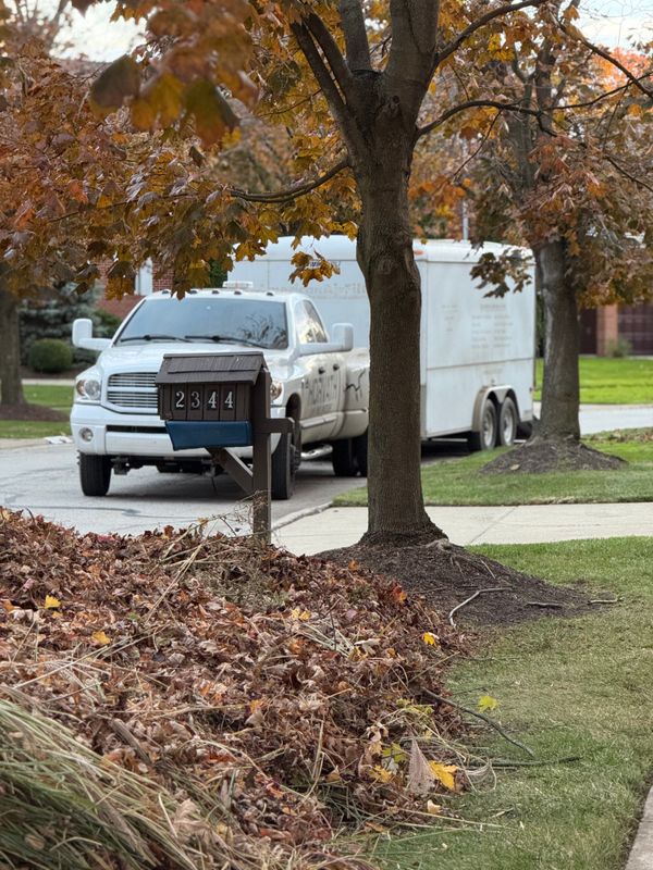 Spring/Fall Cleanups