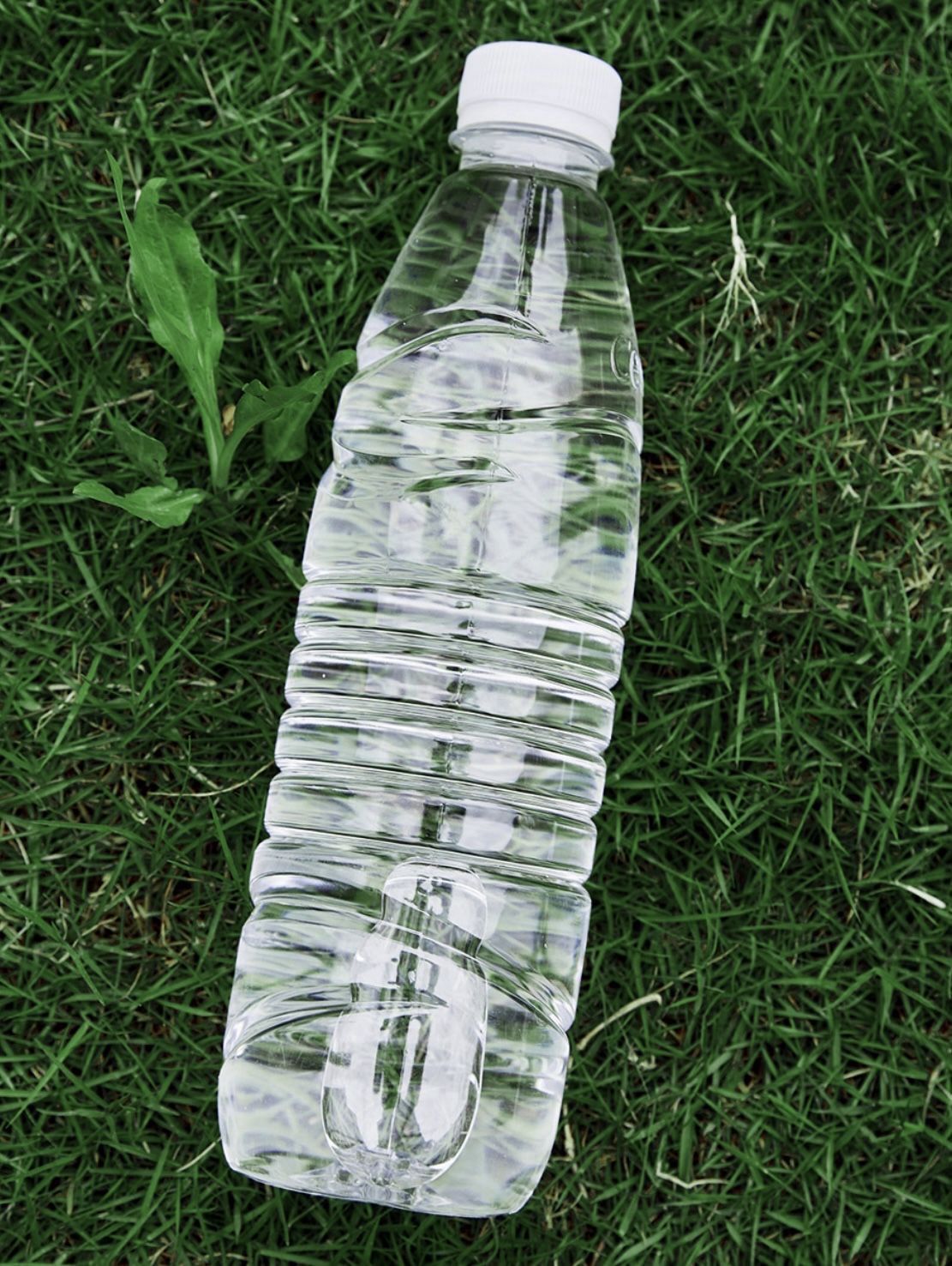 H2OGO PureLite 1L — Premium Drinking Water in a Convenient Bottle