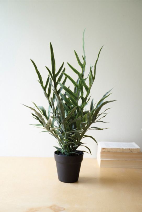 Artificial Fern in a Black Plastic Pot