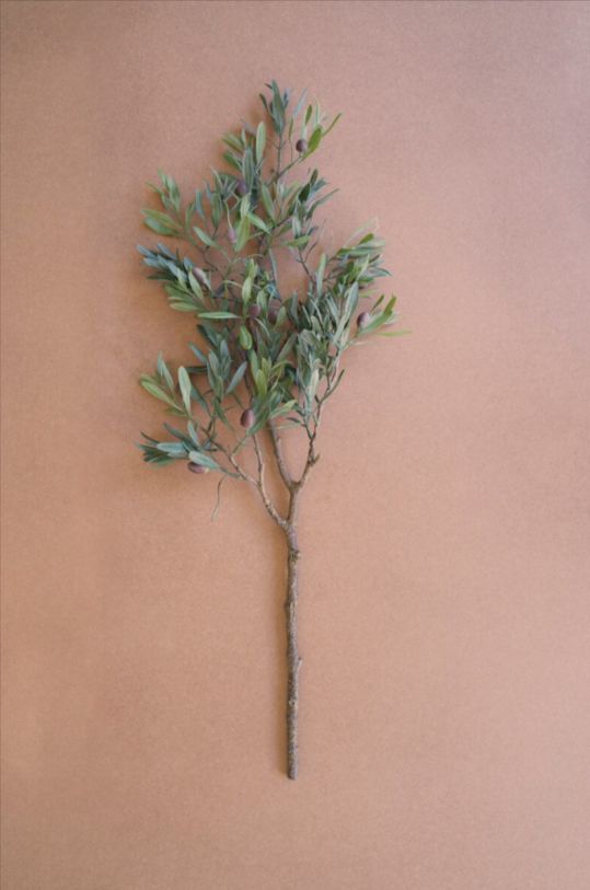 Artificial Olive Branch