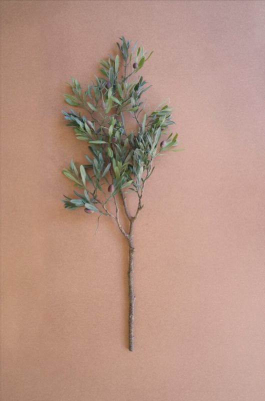 Artificial Olive Branch