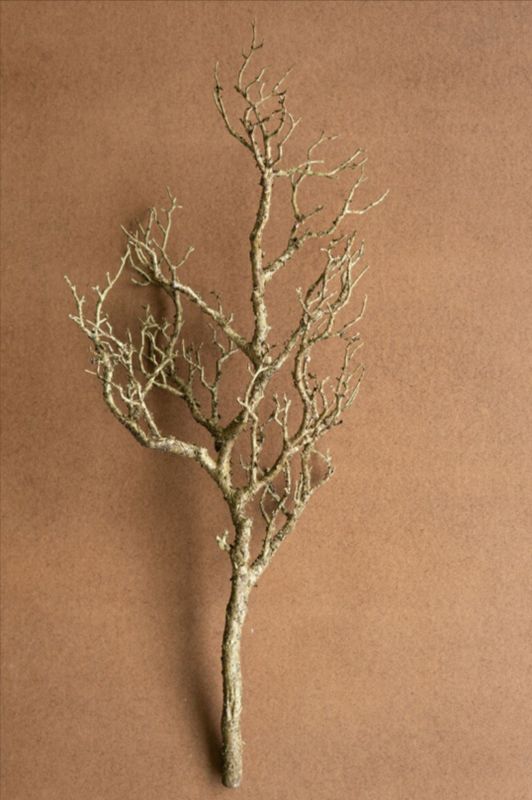 Artificial Dead Wood Branch