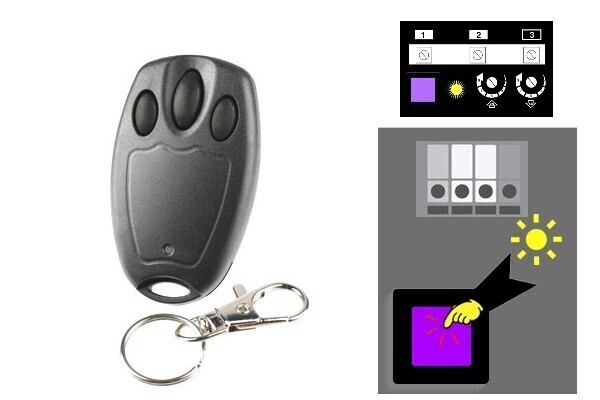 Purple Learn Button​ Compatible Three Button Key Chain Remote