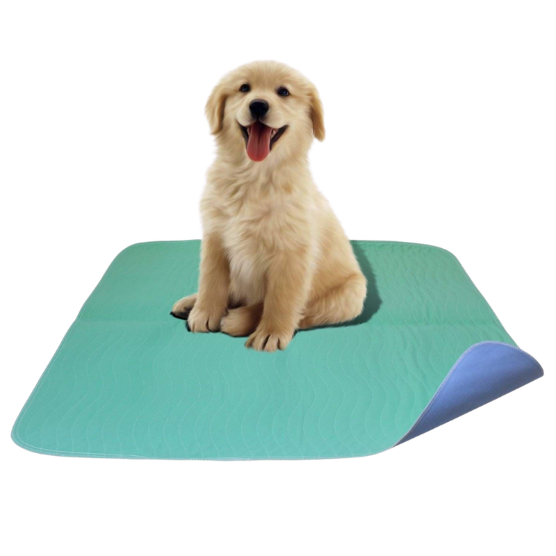 10 pcs. Reclaim Hospital Washable Pee Wee Pads