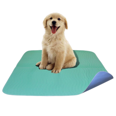 5 pcs. Reclaim Hospital Washable Pee Wee Pads 5 pcs. Reclaim Hospital Washable Pee Wee Pads