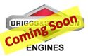 BRIGGS &amp; STRATTON ENGINE