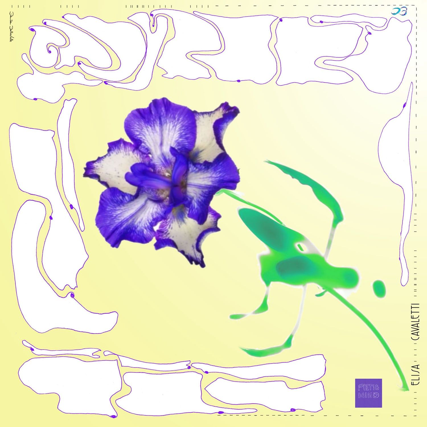 Elisa Cavaletti- KEFIAH 140x140 SILK ST.DAN ART SPRONE