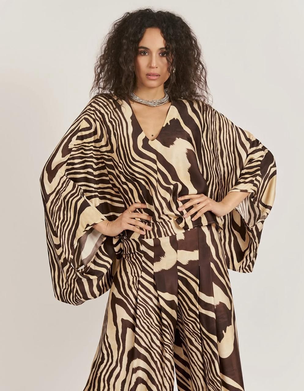 d&#39;l-Palazzo zebra