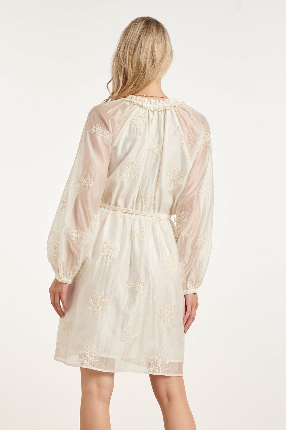 Smashed Lemon - Dress organza embroidered off white