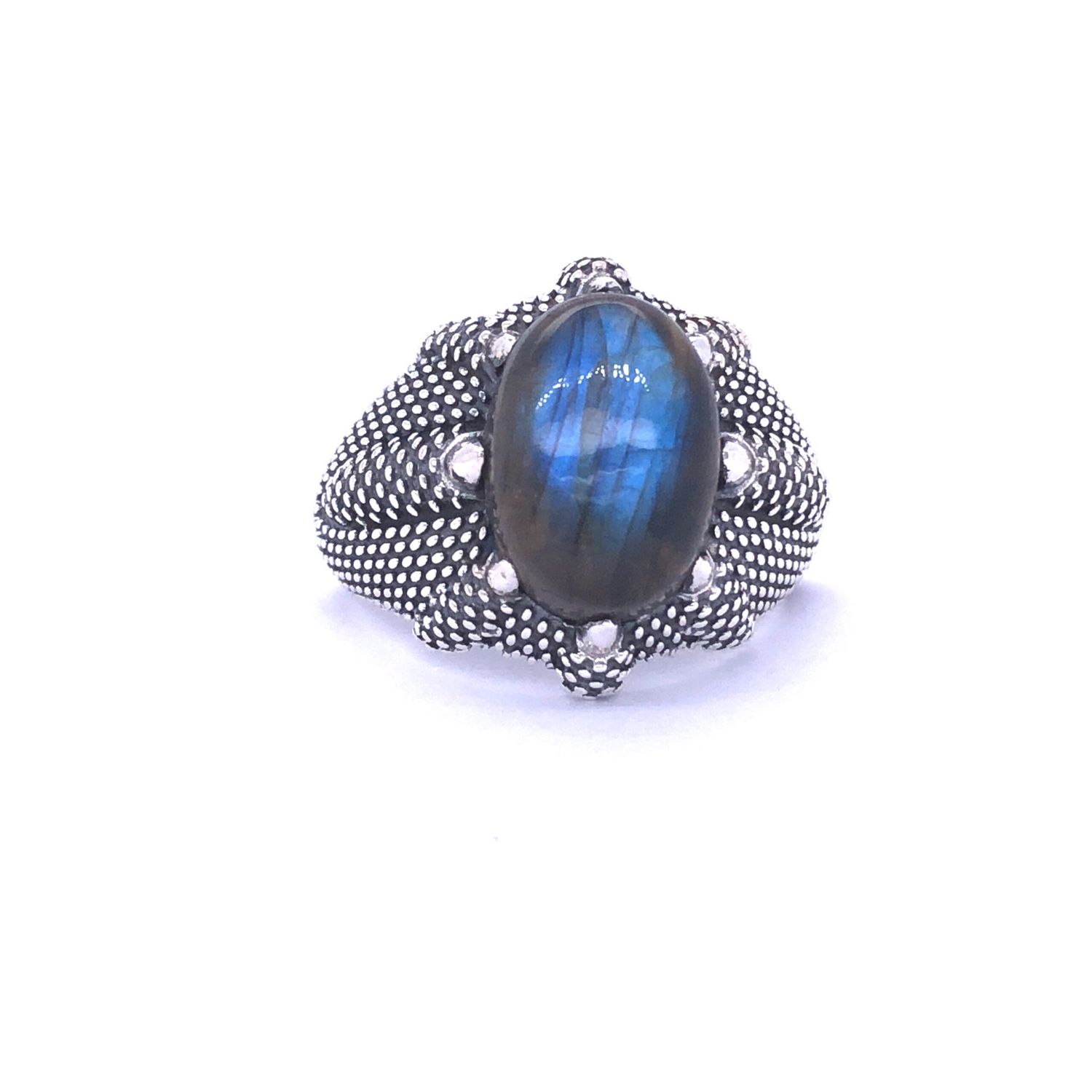 Labradorite Dragon Claw Unisex Ring