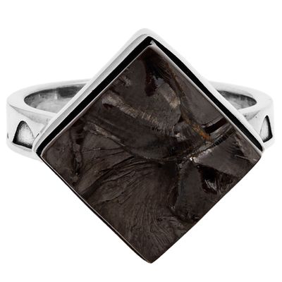 Shungite Strength Ring