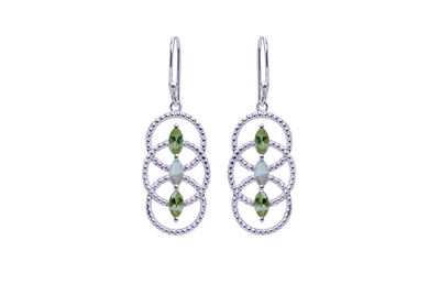 Circles of Life Earrings