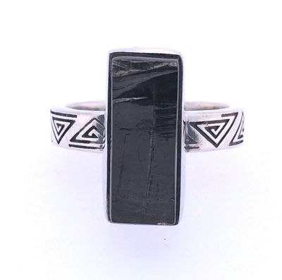 Shungite Warrior Within Ring