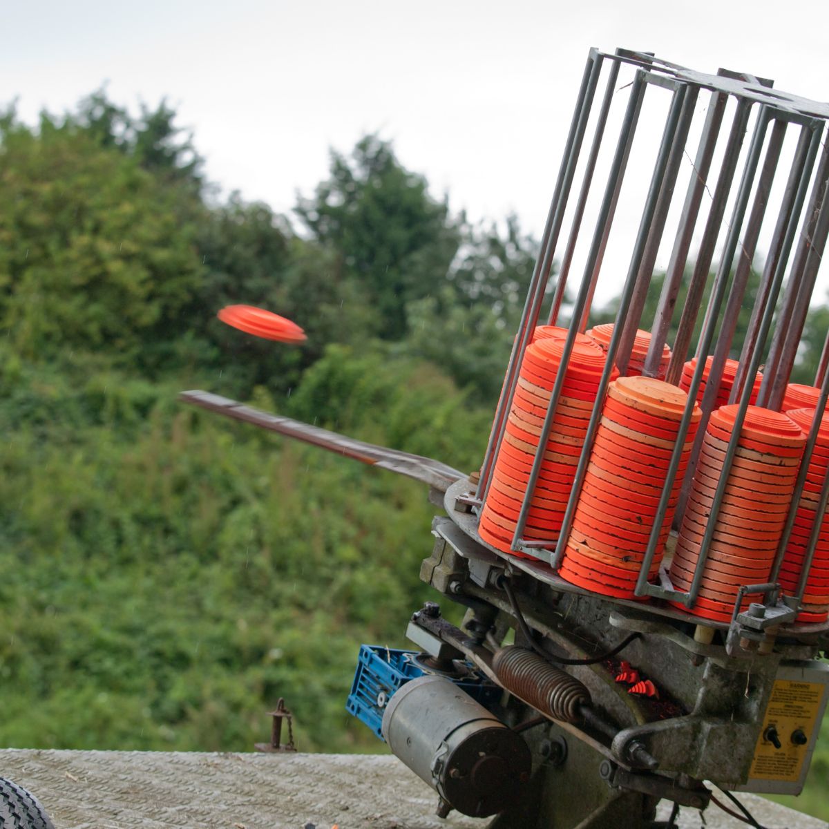 Membership - Individual