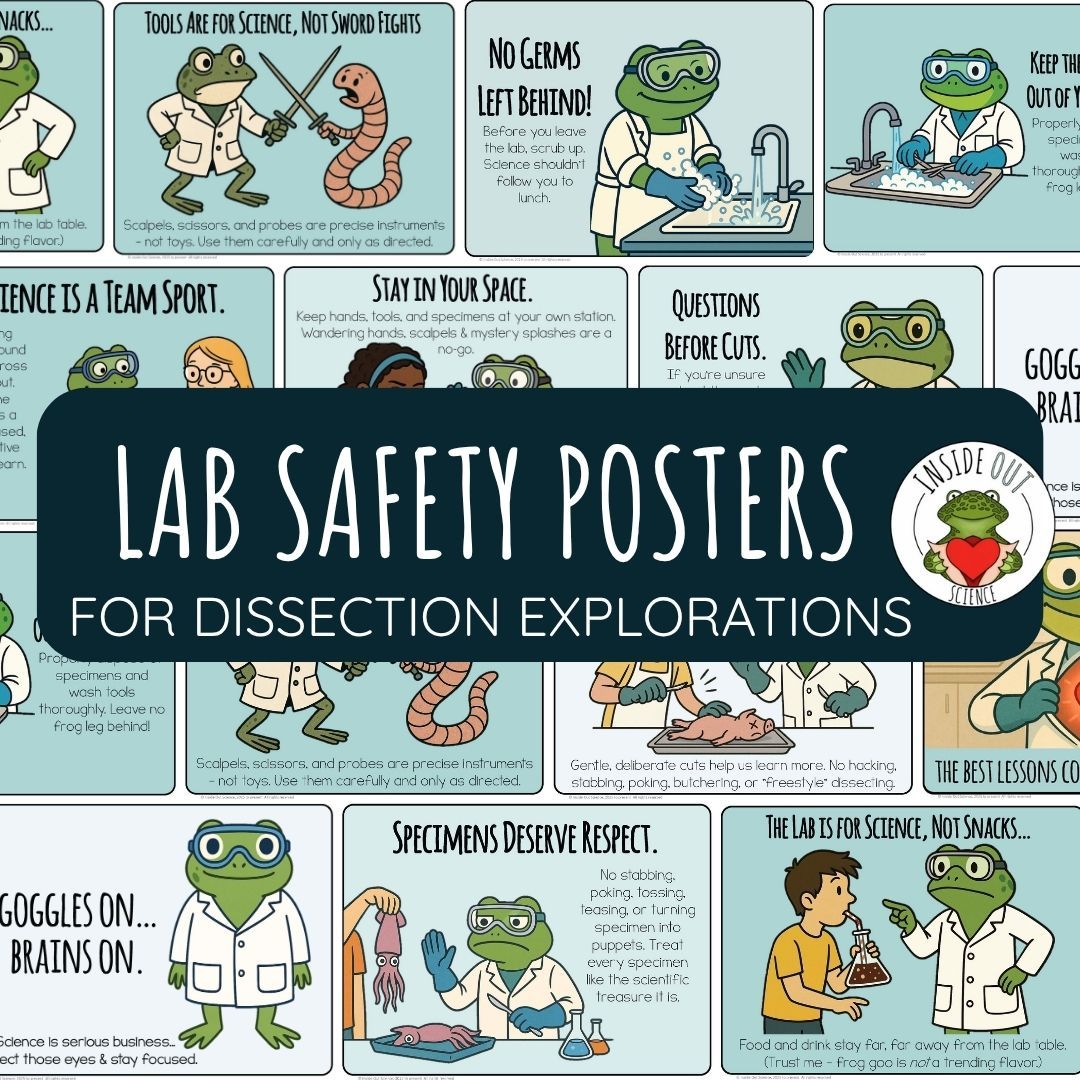 Dissection Lab | Safety and Behavior Contract | Dissection Safety Poster Set Dissection Lab | Safety and Behavior Contract | Dissection Safety Poster Set