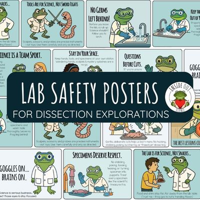 Dissection Lab | Safety and Behavior Contract | Dissection Safety Poster Set
