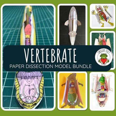 Vertebrate Animal Dissection Zoology | Biology 3-D Paper Dissection Model Bundle