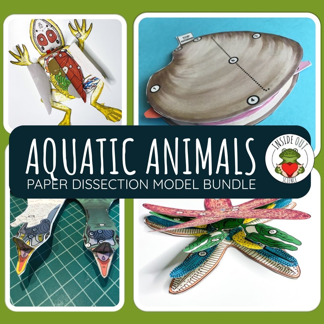 Aquatic Animal Dissection Zoology | Biology 3-D Paper Dissection Model Bundle