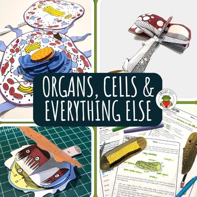 Organs, Cells and Everything Else!