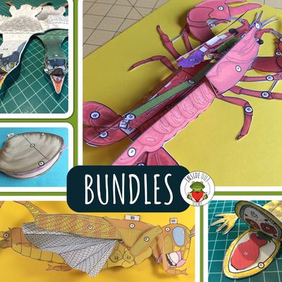 Bundles