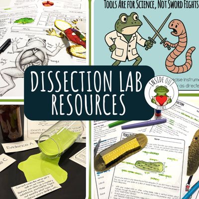 Dissection Lab Resources
