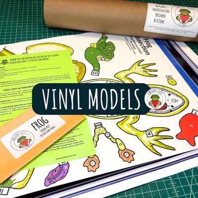 Vinyl Models