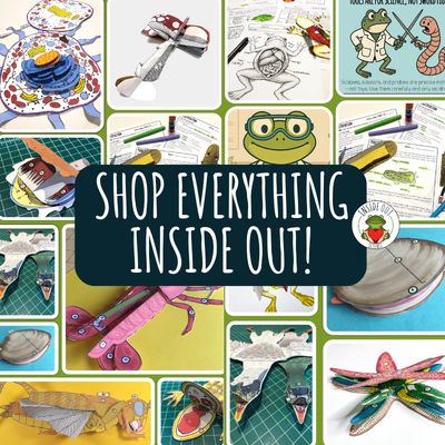 Shop Everything Inside Out